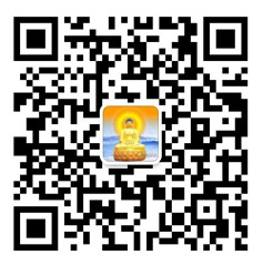 91视频最新导航入口
