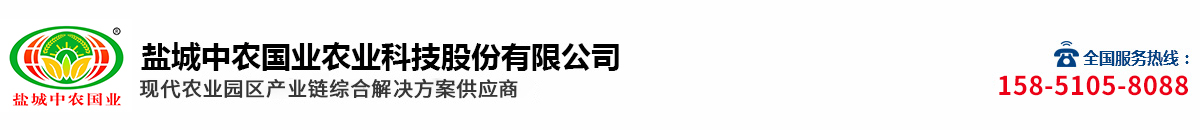 91视频最新导航入口