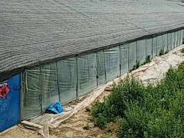 大棚專用91视频色板官网下载