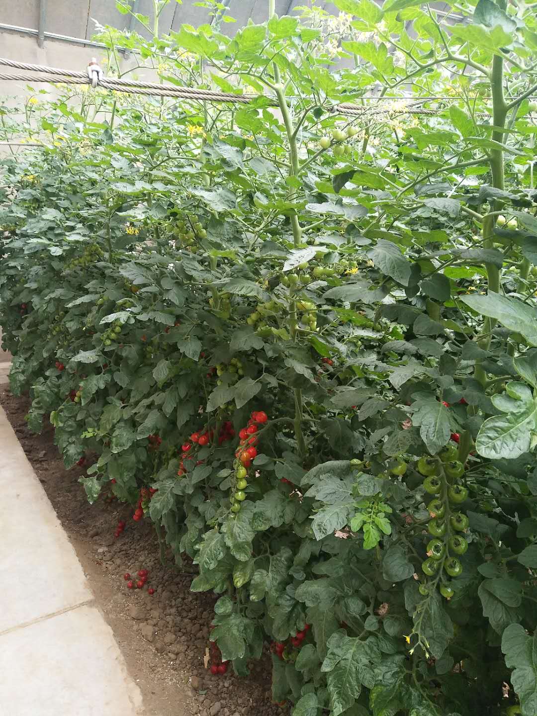 91视频污污APP下载案例
