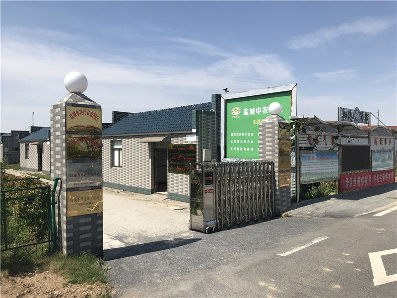 91视频色板官网下载基地