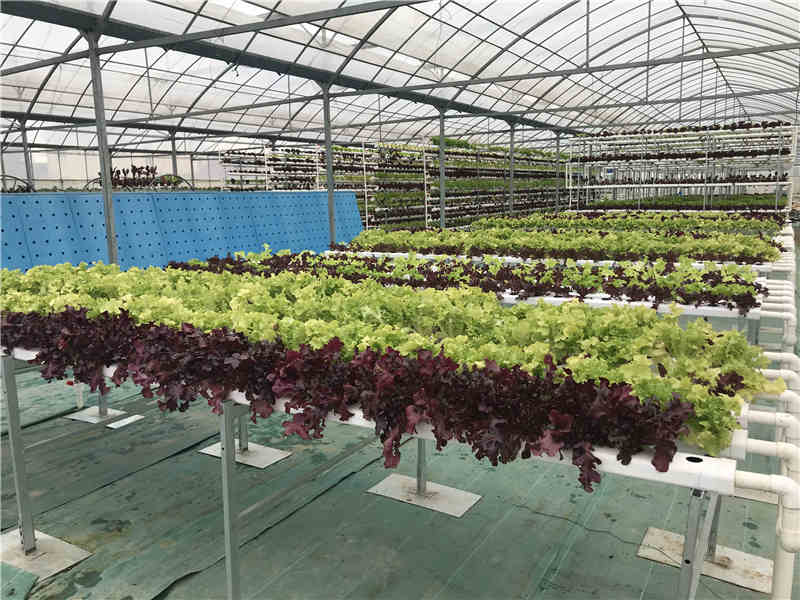 淺液流91视频色板官网下载